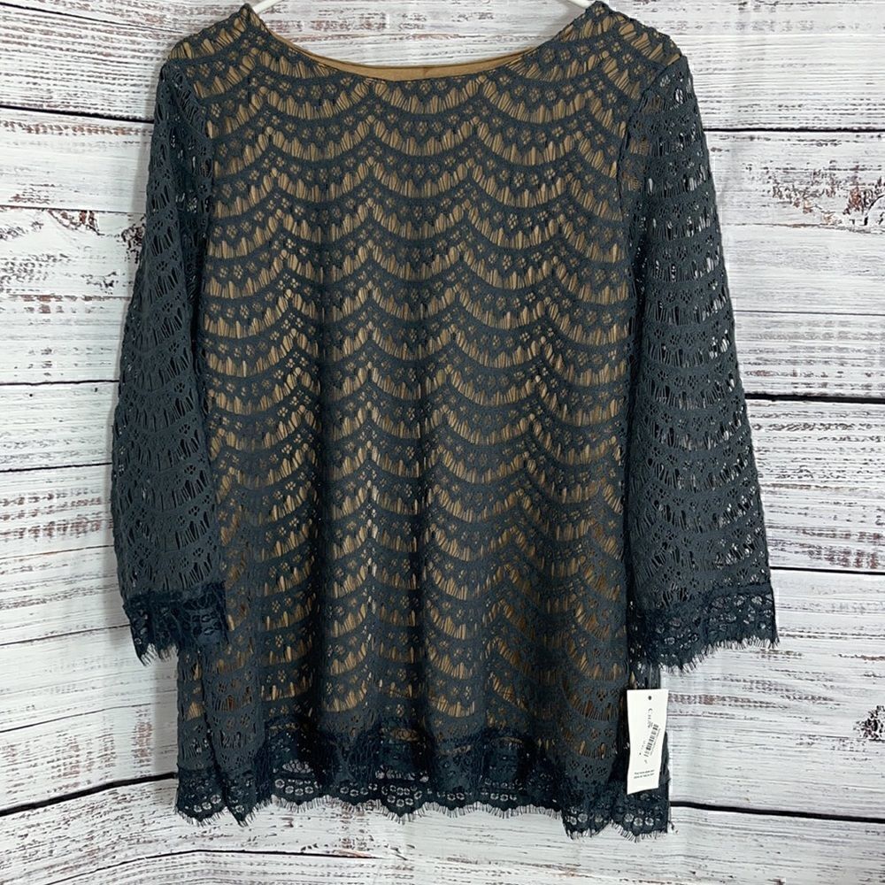 Charter club Top womens Size Medium Lace Blouse Preppy Scallop Trim Gray New‎